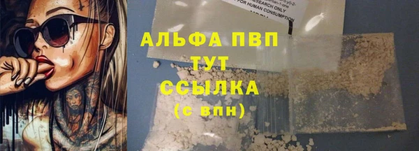 ПСИЛОЦИБИНОВЫЕ ГРИБЫ Абаза