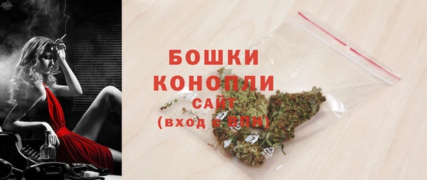 ПСИЛОЦИБИНОВЫЕ ГРИБЫ Абаза