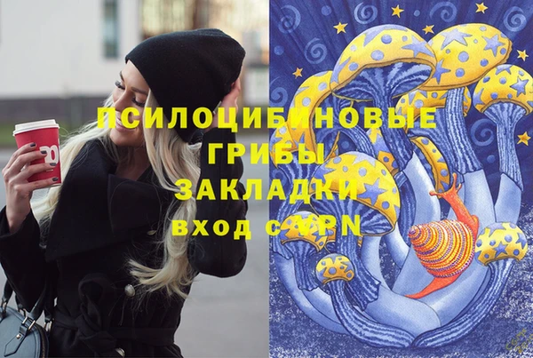 ПСИЛОЦИБИНОВЫЕ ГРИБЫ Абаза
