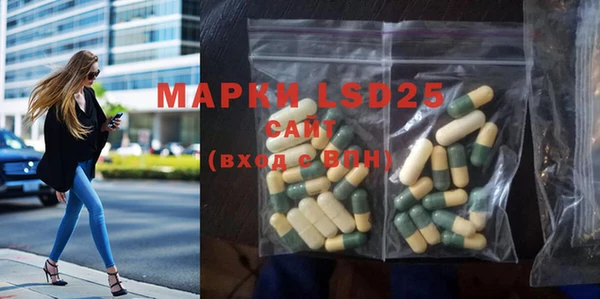 ПСИЛОЦИБИНОВЫЕ ГРИБЫ Абаза